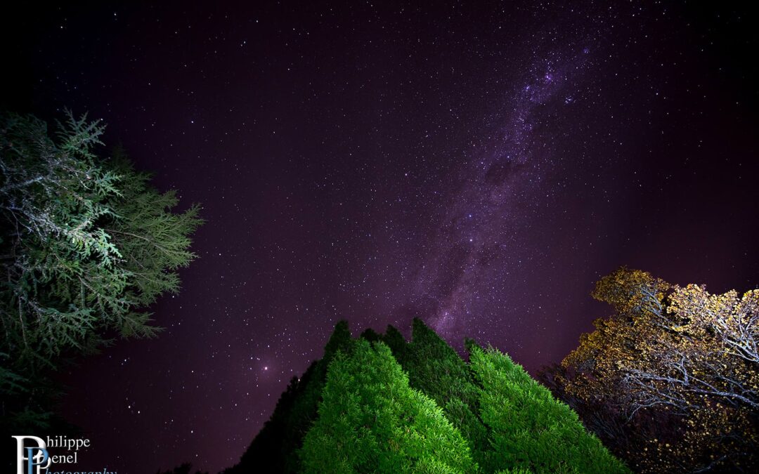 Stars photography